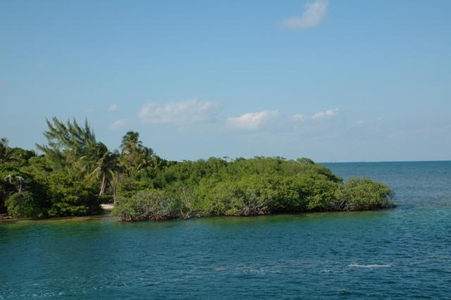 316_Belize_Caye_Caulker.JPG