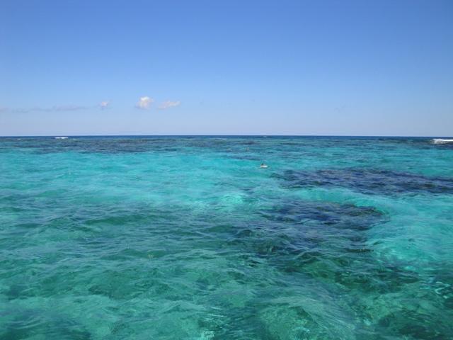 350_Belize_Reef.JPG
