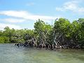 356_Belize_Caye_Caulker