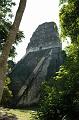267_Guatemala_Tikal