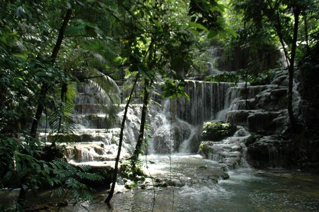 109_Mexico_Palenque_Jungle.JPG