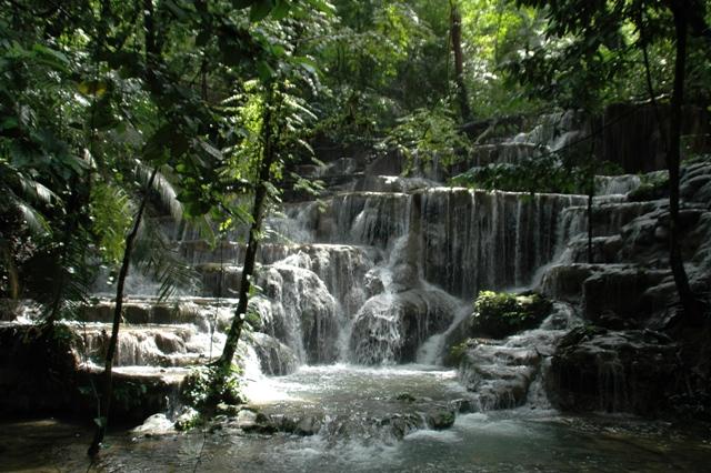 110_Mexico_Palenque_Jungle.JPG