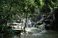 109_Mexico_Palenque_Jungle