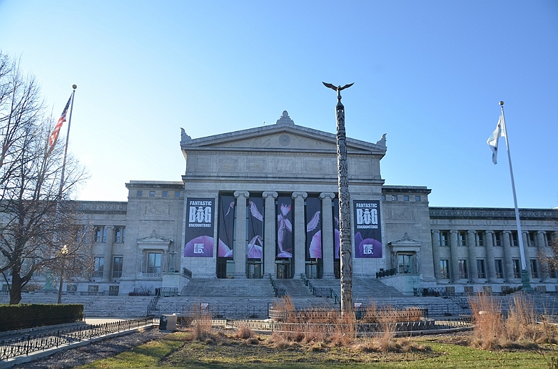 045_USA_Chicago_Field_Museum.JPG