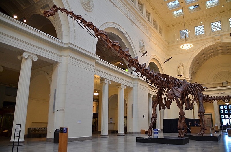 048_USA_Chicago_Field_Museum.JPG