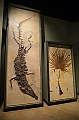 066_USA_Chicago_Field_Museum