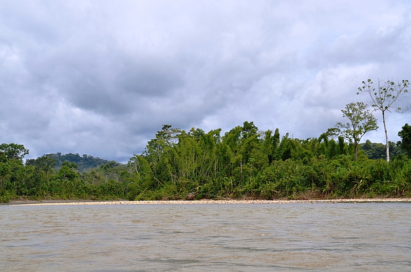 303_Ecuador_Amazonas_Aera_Napo_River_Tour.JPG