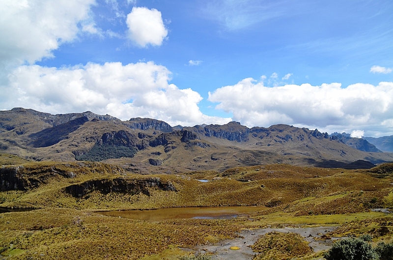 497_Ecuador_Parque_Nacional_Cajas.JPG