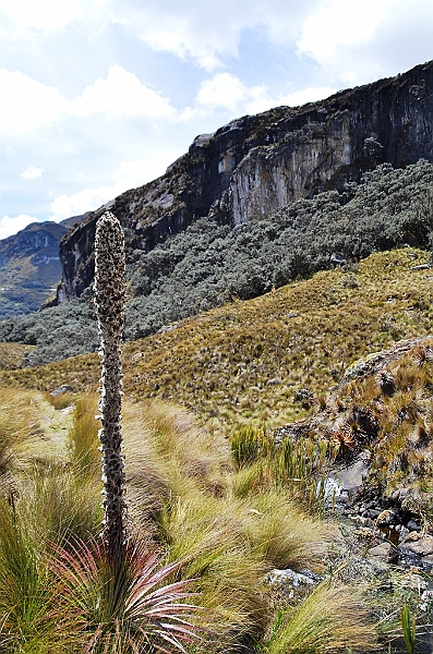 504_Ecuador_Parque_Nacional_Cajas.JPG