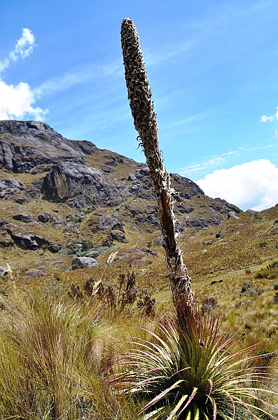 508_Ecuador_Parque_Nacional_Cajas.JPG
