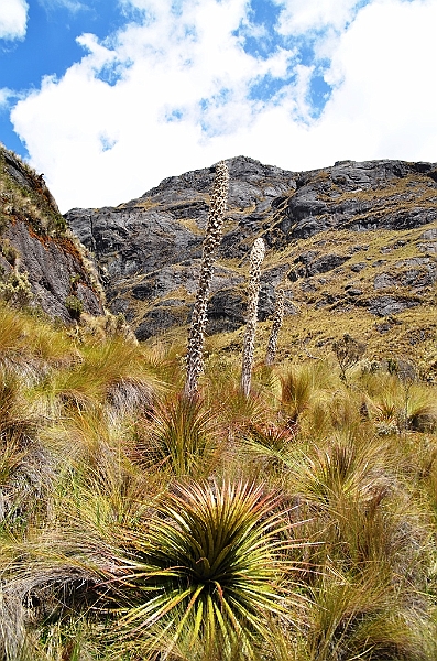 514_Ecuador_Parque_Nacional_Cajas.JPG