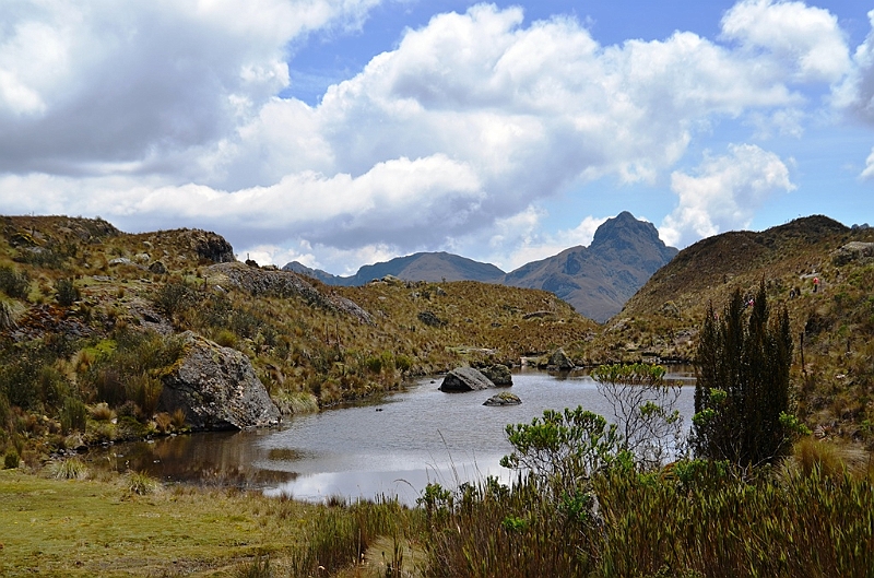 515_Ecuador_Parque_Nacional_Cajas.JPG