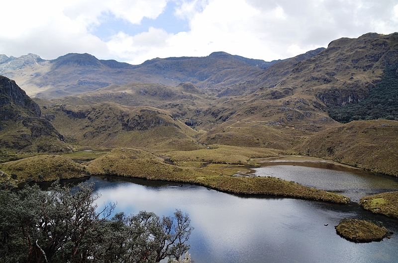 525_Ecuador_Parque_Nacional_Cajas.JPG