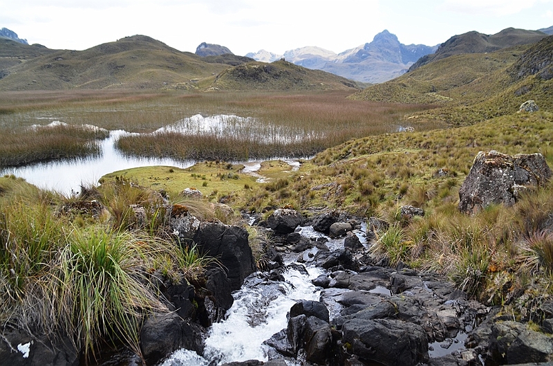 533_Ecuador_Parque_Nacional_Cajas.JPG