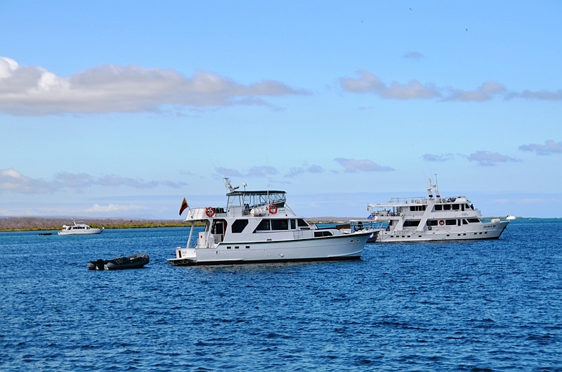 648_Ecuador_Galapagos_Islas_Plazas_South_Boot_Tour.JPG