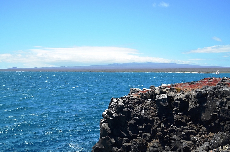696_Ecuador_Galapagos_Islas_Plazas_South_Boot_Tour.JPG