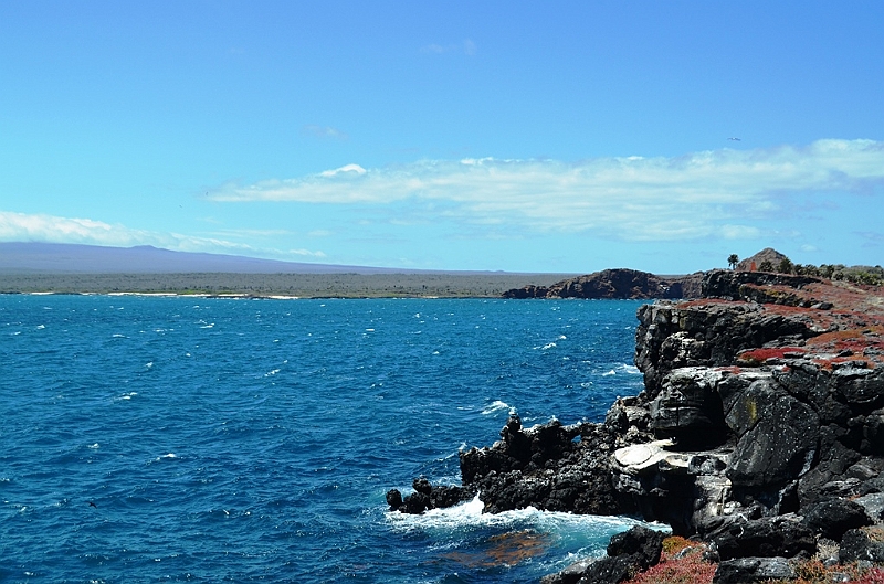 699_Ecuador_Galapagos_Islas_Plazas_South_Boot_Tour.JPG