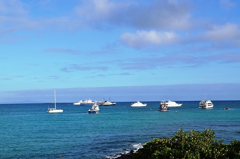 712_Ecuador_Galapagos_Santa_Cruz_Puerto_Ayora.JPG