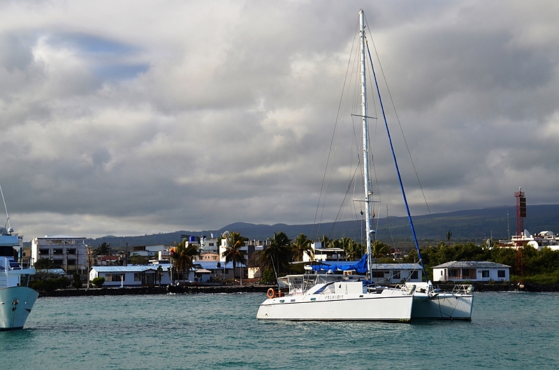 799_Ecuador_Galapagos_Santa_Cruz_Puerto_Ayora.JPG