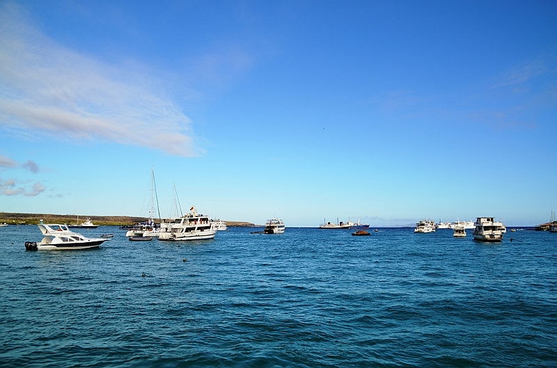 801_Ecuador_Galapagos_Santa_Cruz_Puerto_Ayora.JPG