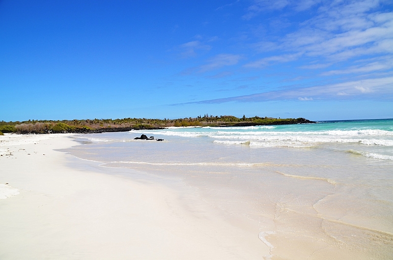 848_Ecuador_Galapagos_Santa_Cruz_Tortuga_Bay.JPG