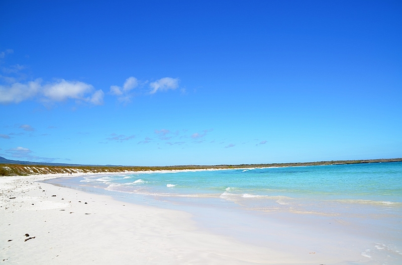 866_Ecuador_Galapagos_Santa_Cruz_Tortuga_Bay.JPG