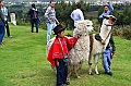 090_Ecuador