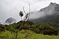 179_Ecuador_Papallacta