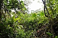 240_Ecuador_Amazonas_Aera