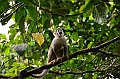 308_Ecuador_Amazonas_Aera_Napo_River_Tour