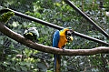 315_Ecuador_Amazonas_Aera_Napo_River_Tour