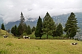 360_Ecuador_Banos