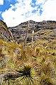 514_Ecuador_Parque_Nacional_Cajas