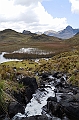 532_Ecuador_Parque_Nacional_Cajas