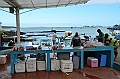 630_Ecuador_Galapagos_Santa_Cruz_Puerto_Ayora