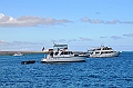 648_Ecuador_Galapagos_Islas_Plazas_South_Boot_Tour