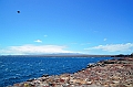 692_Ecuador_Galapagos_Islas_Plazas_South_Boot_Tour
