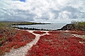 778_Ecuador_Galapagos_Island_Floreana