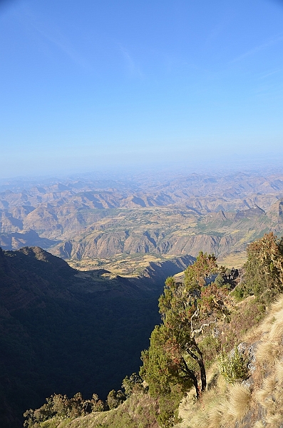233_Ethiopia_North_Semien_NP.JPG