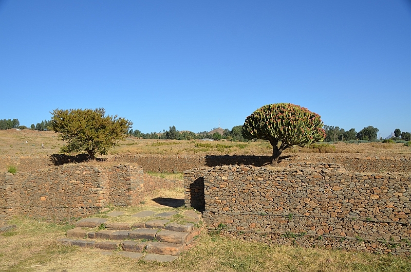351_Ethiopia_North_Axum_Queen_of_Sheba_Palace.JPG