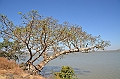 034_Ethiopia_North_Bahir_Dar_Tana_See