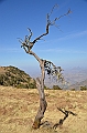 203_Ethiopia_North_Semien_NP