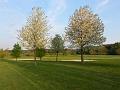 Golfclub_Herrnhof_24_April_2011_Photo011