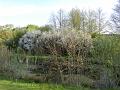 Golfclub_Herrnhof_24_April_2011_Photo039
