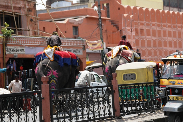 047_India_Jaipur.JPG