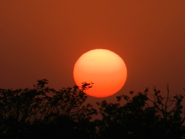 473_India_Alipura_Sunset.JPG - 