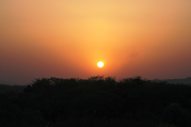 474_India_Alipura_Sunset.JPG