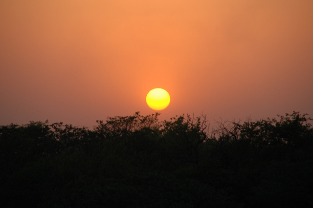 475_India_Alipura_Sunset.JPG