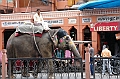 052_India_Jaipur