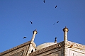310_India_Taj_Mahal